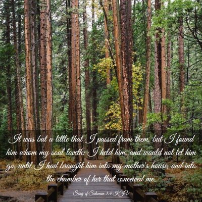 Picture 03 - Song of Solomon 3:4 KJV - It was but a little that I passed from them, but - Bible Verse Picture