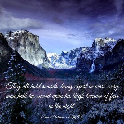 Picture 03 - Song of Solomon 3:8 KJV - They all hold swords, being expert in war: every - Bible Verse Picture