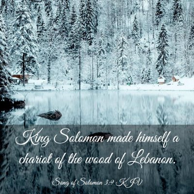 Picture 03 - Song of Solomon 3:9 KJV - King Solomon made himself a chariot of the wood - Bible Verse Picture
