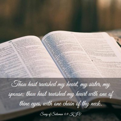 Picture 03 - Song of Solomon 4:9 KJV - Thou hast ravished my heart, my sister, my - Bible Verse Picture