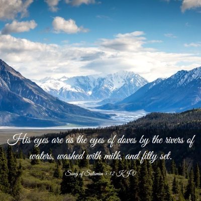 Picture 03 - Song of Solomon 5:12 KJV - His eyes are as the eyes of doves by the rivers - Bible Verse Picture