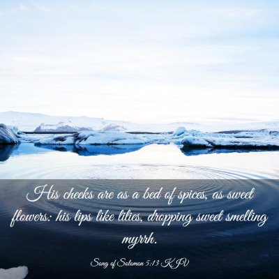 Picture 03 - Song of Solomon 5:13 KJV - His cheeks are as a bed of spices, as sweet - Bible Verse Picture
