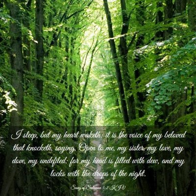 Picture 03 - Song of Solomon 5:2 KJV - I sleep, but my heart waketh: it is the voice of - Bible Verse Picture