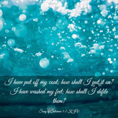 Picture 03 - Song of Solomon 5:3 KJV - I have put off my coat; how shall I put it on? I - Bible Verse Picture
