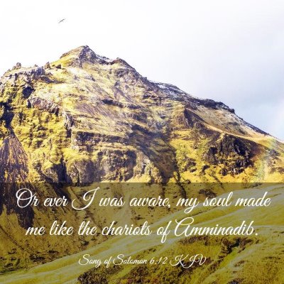 Picture 03 - Song of Solomon 6:12 KJV - Or ever I was aware, my soul made me like the - Bible Verse Picture