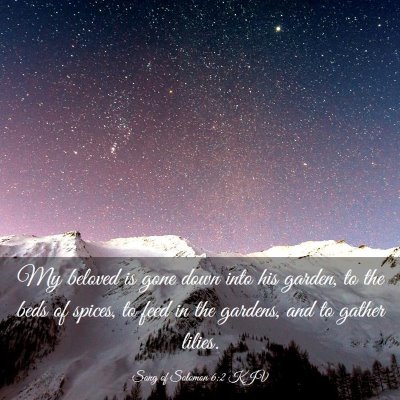 Picture 03 - Song of Solomon 6:2 KJV - My beloved is gone down into his garden, to the - Bible Verse Picture