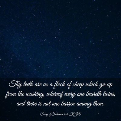 Picture 03 - Song of Solomon 6:6 KJV - Thy teeth are as a flock of sheep which go up - Bible Verse Picture