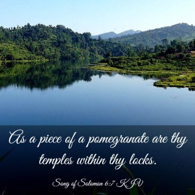 Picture 03 - Song of Solomon 6:7 KJV - As a piece of a pomegranate are thy temples - Bible Verse Picture