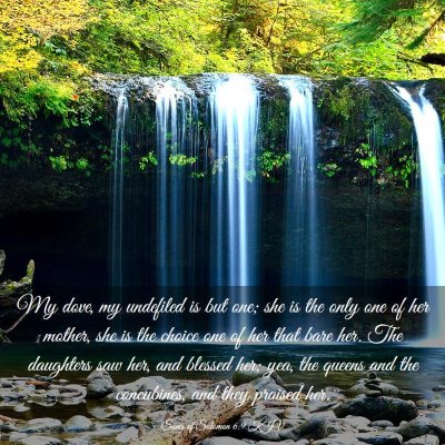 Picture 03 - Song of Solomon 6:9 KJV - My dove, my undefiled is but one; she is the only - Bible Verse Picture