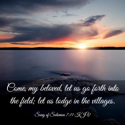 Picture 03 - Song of Solomon 7:11 KJV - Come, my beloved, let us go forth into the field; - Bible Verse Picture
