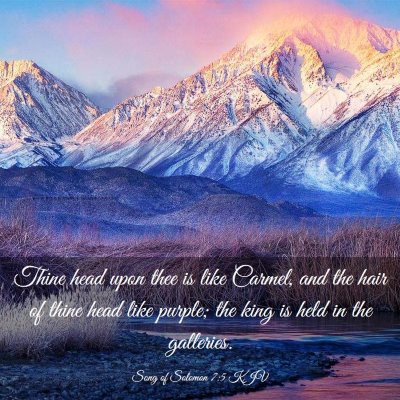 Picture 03 - Song of Solomon 7:5 KJV - Thine head upon thee is like Carmel, and the hair - Bible Verse Picture