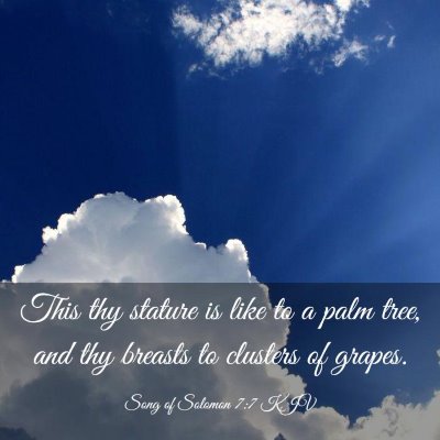 Picture 03 - Song of Solomon 7:7 KJV - This thy stature is like to a palm tree, and thy - Bible Verse Picture
