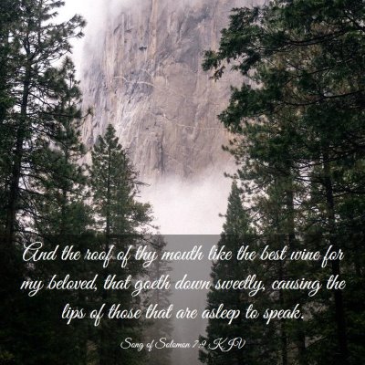 Picture 03 - Song of Solomon 7:9 KJV - And the roof of thy mouth like the best wine for - Bible Verse Picture