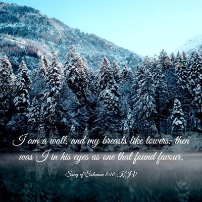 Picture 03 - Song of Solomon 8:10 KJV - I am a wall, and my breasts like towers: then was - Bible Verse Picture