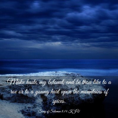 Picture 03 - Song of Solomon 8:14 KJV - Make haste, my beloved, and be thou like to a roe - Bible Verse Picture