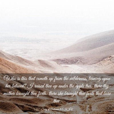 Picture 03 - Song of Solomon 8:5 KJV - Who is this that cometh up from the wilderness, - Bible Verse Picture
