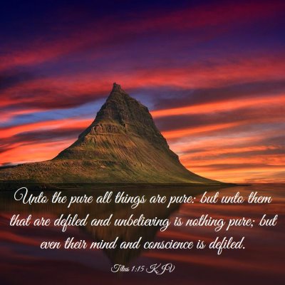 Picture 03 - Titus 1:15 KJV - Unto the pure all things are pure: but unto them - Bible Verse Picture