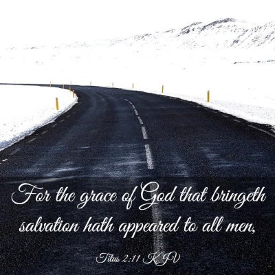 Picture 03 - Titus 2:11 KJV - For the grace of God that bringeth salvation hath - Bible Verse Picture