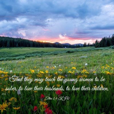 Picture 03 - Titus 2:4 KJV - That they may teach the young women to be sober, - Bible Verse Picture