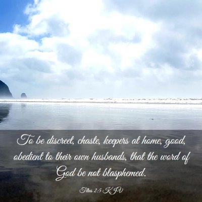 Picture 03 - Titus 2:5 KJV - To be discreet, chaste, keepers at home, good, - Bible Verse Picture