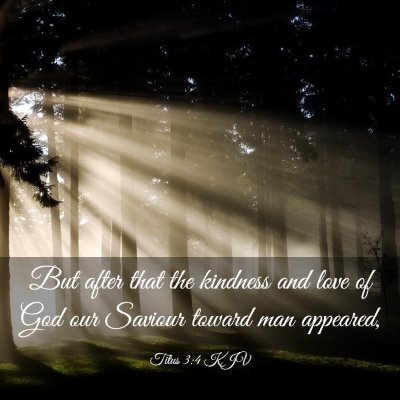 Picture 03 - Titus 3:4 KJV - But after that the kindness and love of God our - Bible Verse Picture