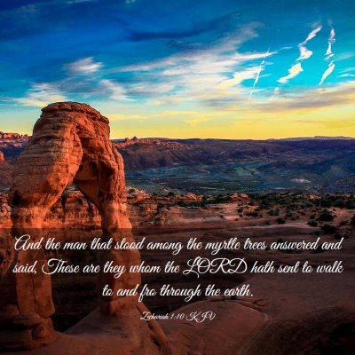 Picture 03 - Zechariah 1:10 KJV - And the man that stood among the myrtle trees - Bible Verse Picture