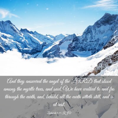 Picture 03 - Zechariah 1:11 KJV - And they answered the angel of the LORD that - Bible Verse Picture