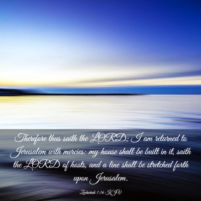 Picture 03 - Zechariah 1:16 KJV - Therefore thus saith the LORD; I am returned to - Bible Verse Picture