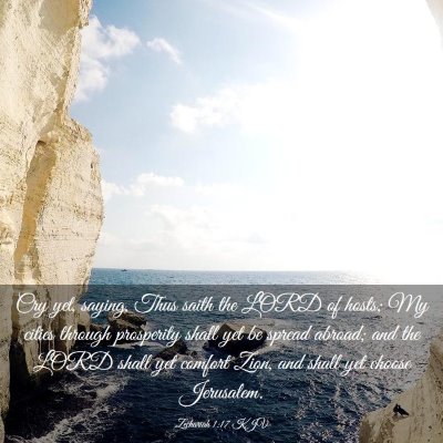 Picture 03 - Zechariah 1:17 KJV - Cry yet, saying, Thus saith the LORD of hosts; My - Bible Verse Picture