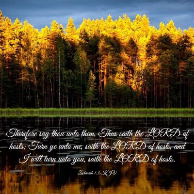 Picture 03 - Zechariah 1:3 KJV - Therefore say thou unto them, Thus saith the LORD - Bible Verse Picture