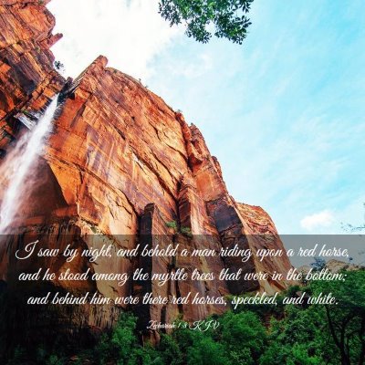 Picture 03 - Zechariah 1:8 KJV - I saw by night, and behold a man riding upon a - Bible Verse Picture