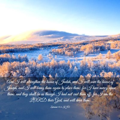 Picture 03 - Zechariah 10:6 KJV - And I will strengthen the house of Judah, and I - Bible Verse Picture