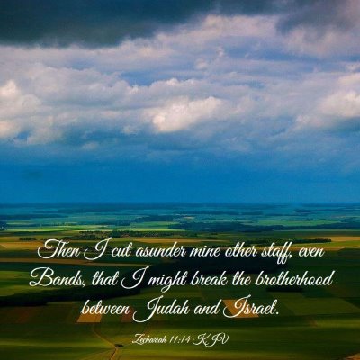 Picture 03 - Zechariah 11:14 KJV - Then I cut asunder mine other staff, even Bands, - Bible Verse Picture