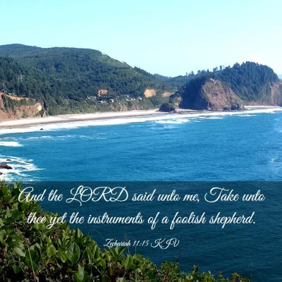 Picture 03 - Zechariah 11:15 KJV - And the LORD said unto me, Take unto thee yet the - Bible Verse Picture