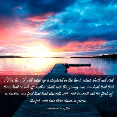 Picture 03 - Zechariah 11:16 KJV - For, lo, I will raise up a shepherd in the land, - Bible Verse Picture