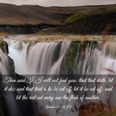 Picture 03 - Zechariah 11:9 KJV - Then said I, I will not feed you: that that - Bible Verse Picture