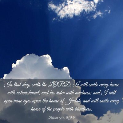 Picture 03 - Zechariah 12:4 KJV - In that day, saith the LORD, I will smite every - Bible Verse Picture