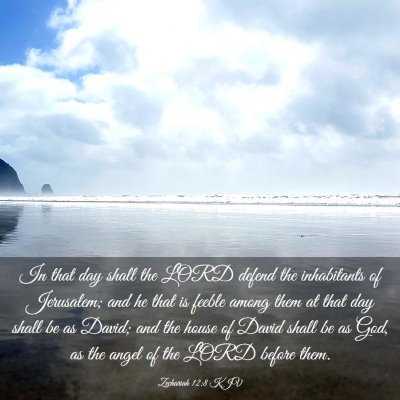 Picture 03 - Zechariah 12:8 KJV - In that day shall the LORD defend the inhabitants - Bible Verse Picture