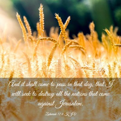 Picture 03 - Zechariah 12:9 KJV - And it shall come to pass in that day, that I - Bible Verse Picture