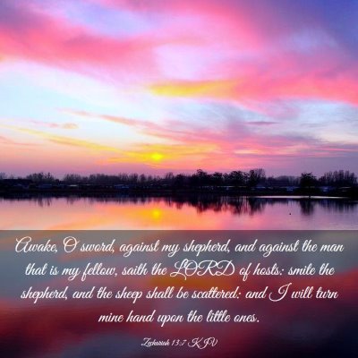 Picture 03 - Zechariah 13:7 KJV - Awake, O sword, against my shepherd, and against - Bible Verse Picture