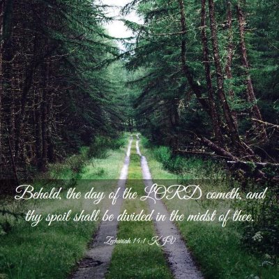 Picture 03 - Zechariah 14:1 KJV - Behold, the day of the LORD cometh, and thy spoil - Bible Verse Picture