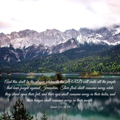 Picture 03 - Zechariah 14:12 KJV - And this shall be the plague wherewith the LORD - Bible Verse Picture