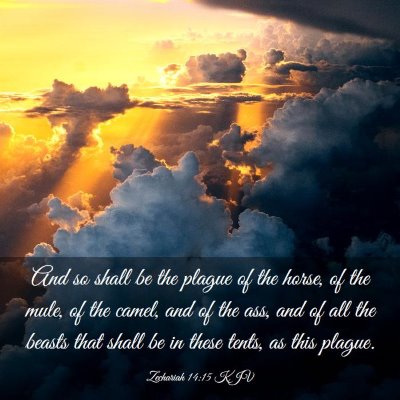 Picture 03 - Zechariah 14:15 KJV - And so shall be the plague of the horse, of the - Bible Verse Picture