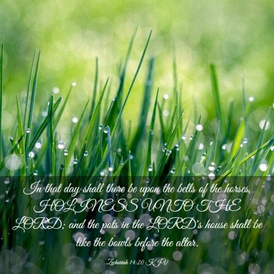 Picture 03 - Zechariah 14:20 KJV - In that day shall there be upon the bells of the - Bible Verse Picture