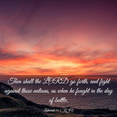 Picture 03 - Zechariah 14:3 KJV - Then shall the LORD go forth, and fight against - Bible Verse Picture