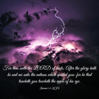 Picture 03 - Zechariah 2:8 KJV - For thus saith the LORD of hosts; After the glory - Bible Verse Picture
