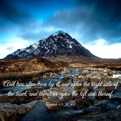 Picture 03 - Zechariah 4:3 KJV - And two olive trees by it, one upon the right - Bible Verse Picture