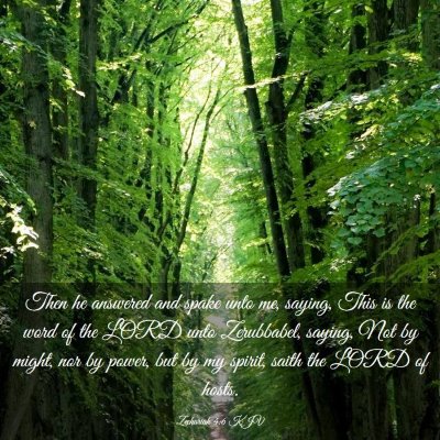 Picture 03 - Zechariah 4:6 KJV - Then he answered and spake unto me, saying, This - Bible Verse Picture