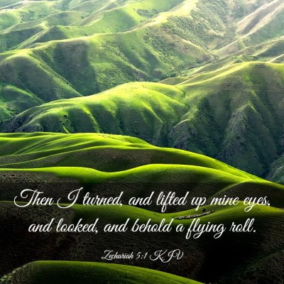 Picture 03 - Zechariah 5:1 KJV - Then I turned, and lifted up mine eyes, and - Bible Verse Picture