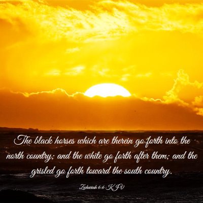 Picture 03 - Zechariah 6:6 KJV - The black horses which are therein go forth into - Bible Verse Picture